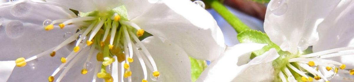 Mein persönlicher Blog